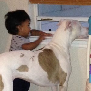 Meet your Posher, Angie